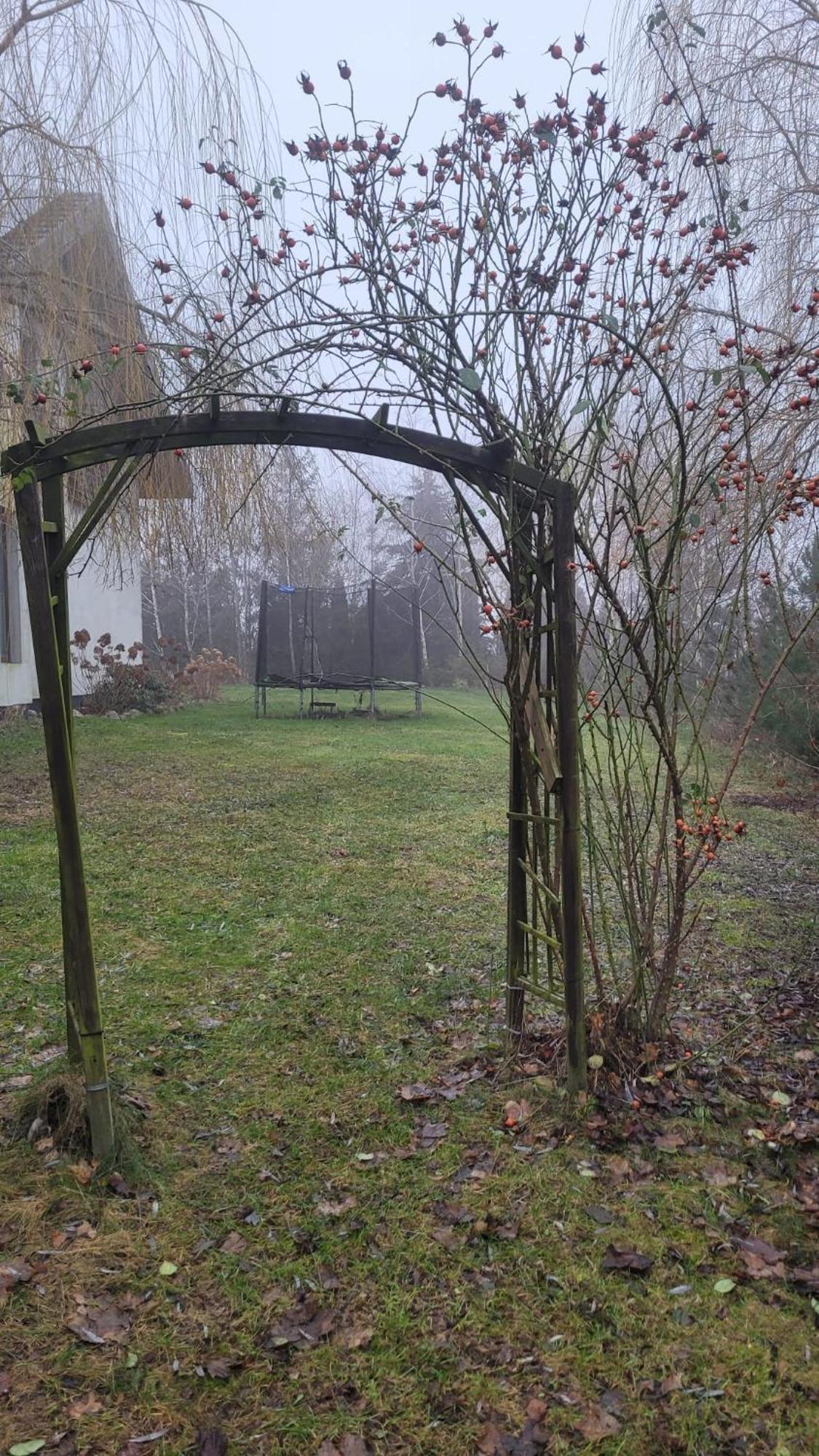 Apartament Pod Toruniem Grebocin  Exterior foto